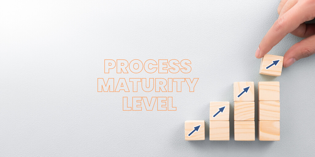 Process Maturity Level
