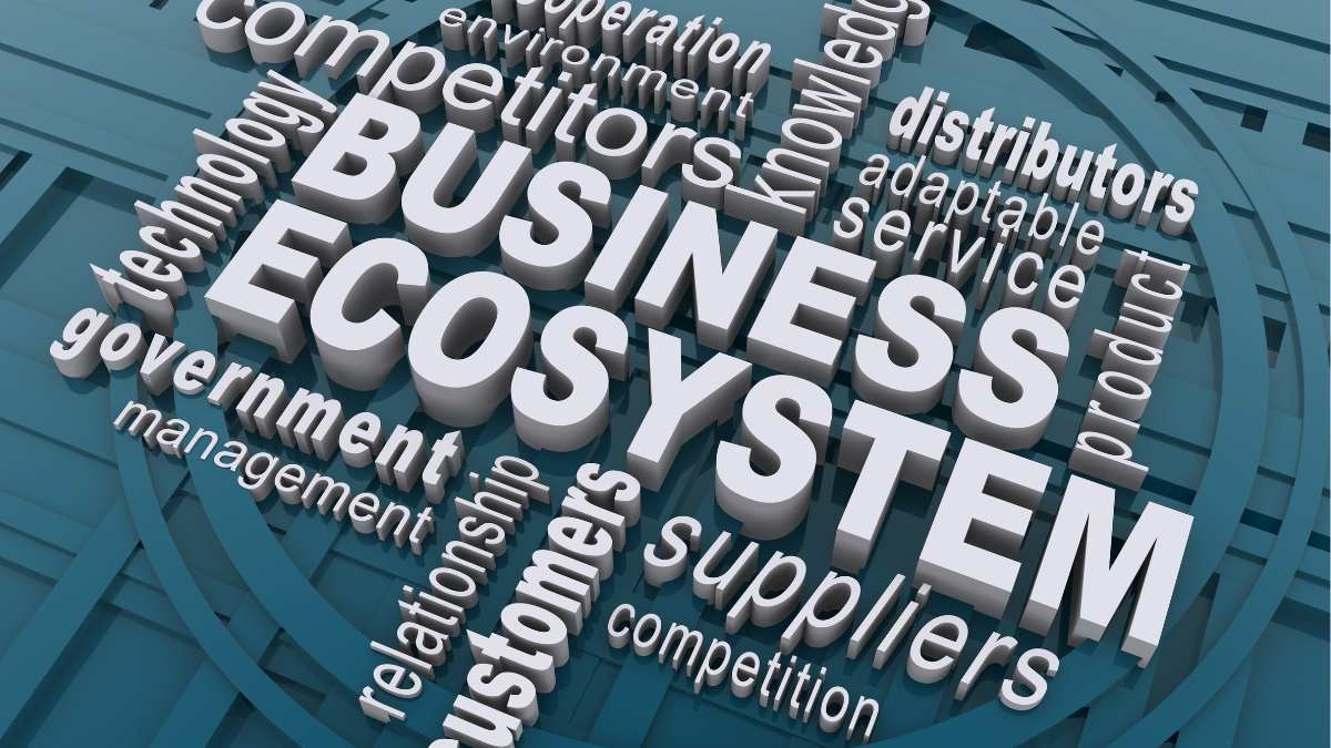 What is Leancoin Ecosystem