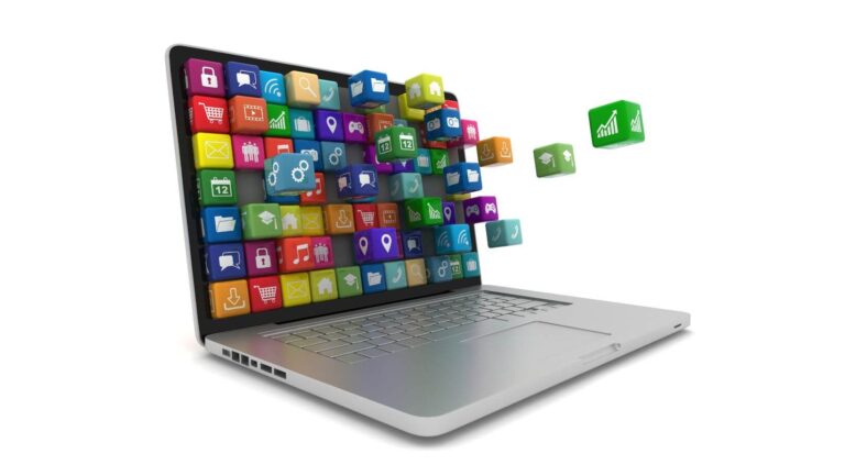 Software House or Internal IT?