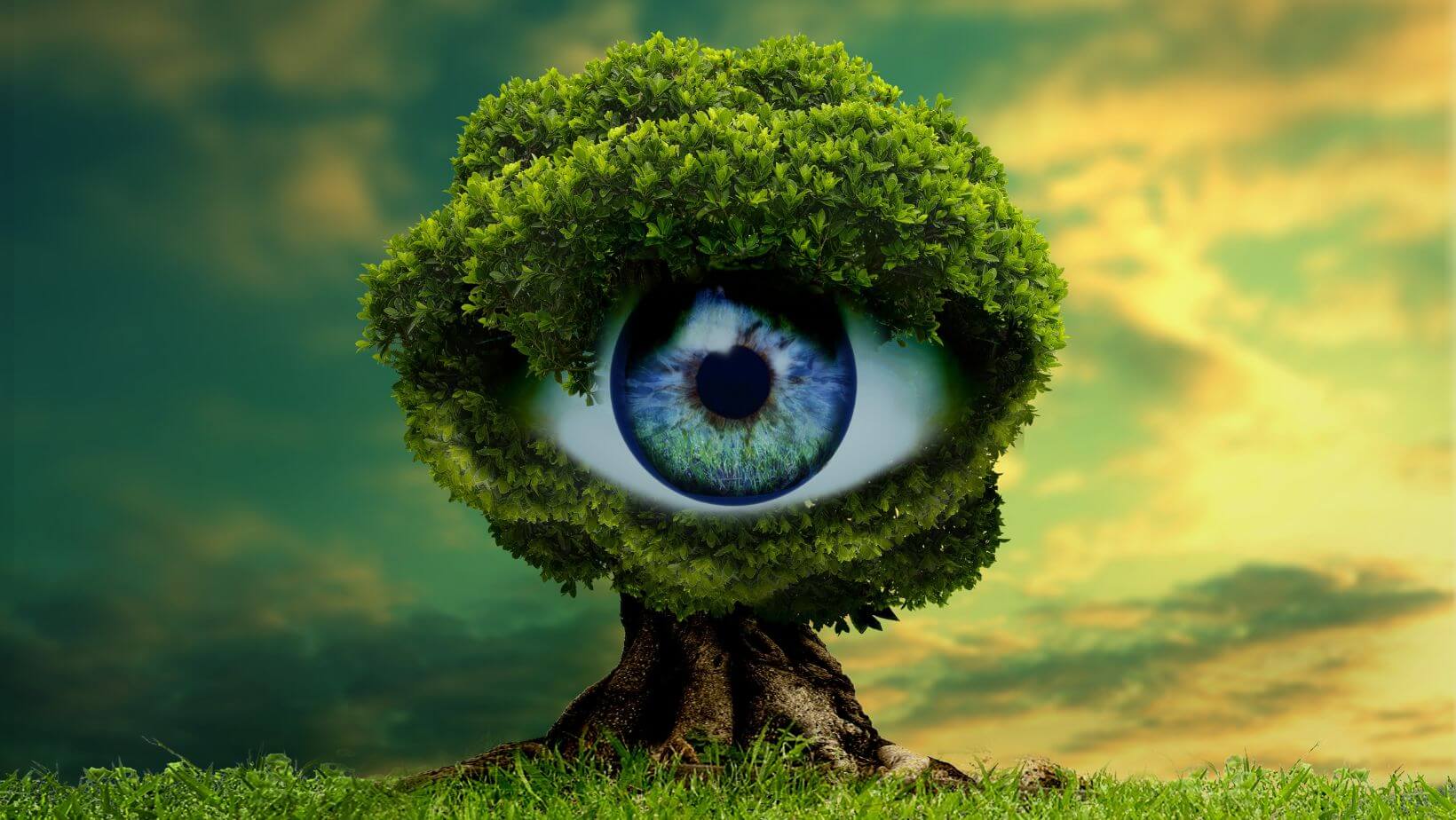 Business Intuition: The Sixth Sense