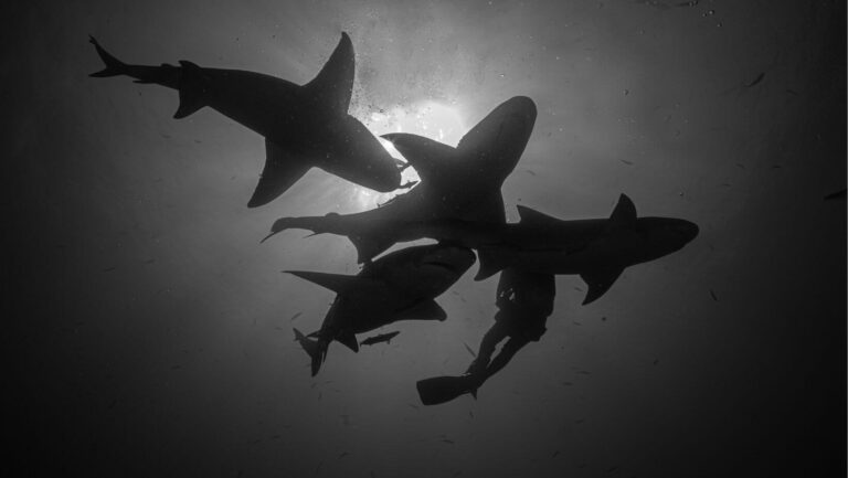 Conquer Fear and Begin anew