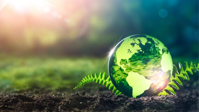 What is biodiversity?