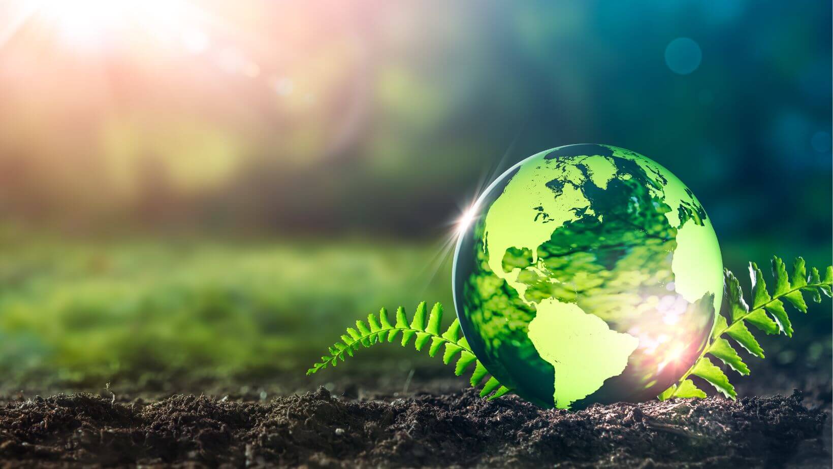 What is biodiversity?