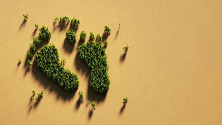 Clothing's Carbon Footprint