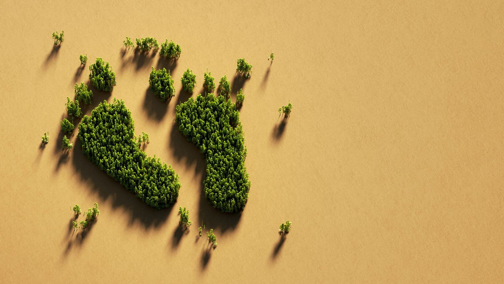 Clothing's Carbon Footprint