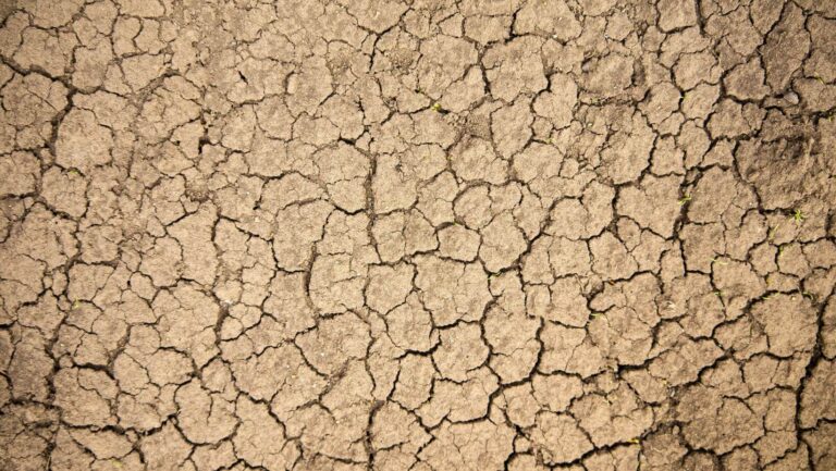 The Scarcity Challenge