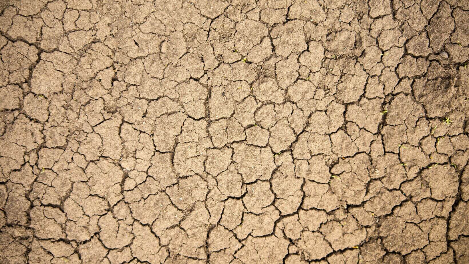 The Scarcity Challenge