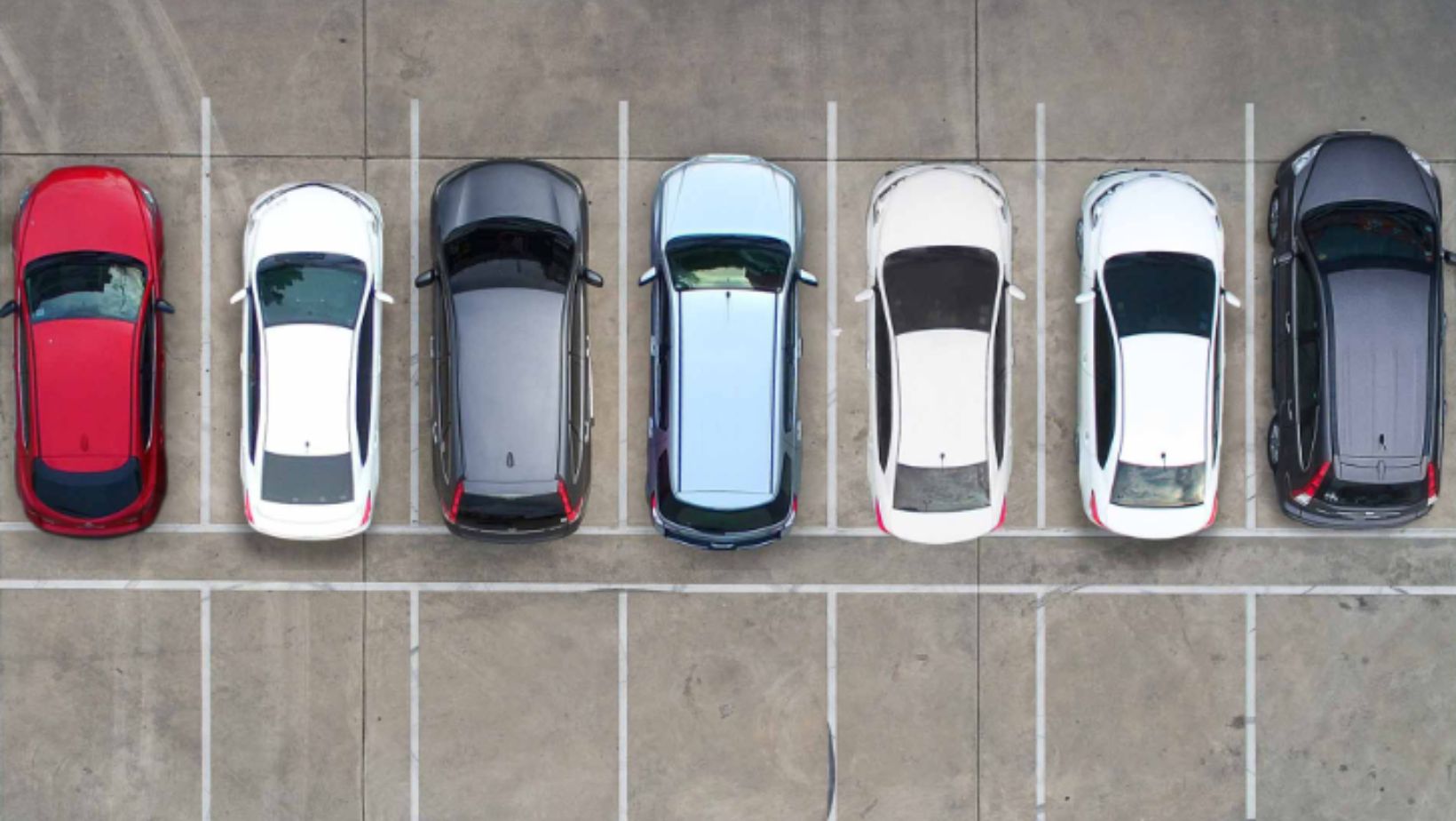 Team Standards in Action