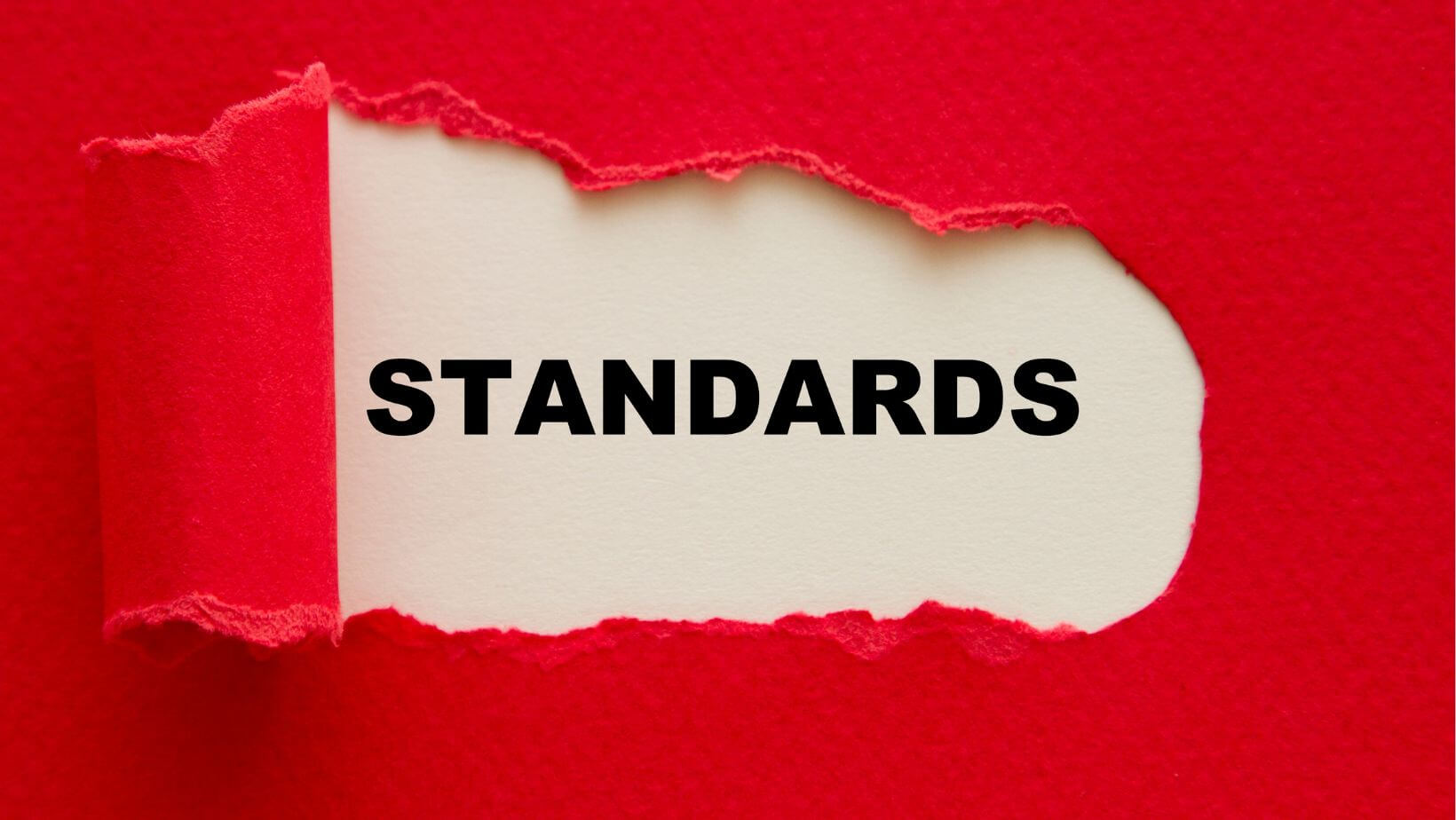 Why Team Standards Matter?