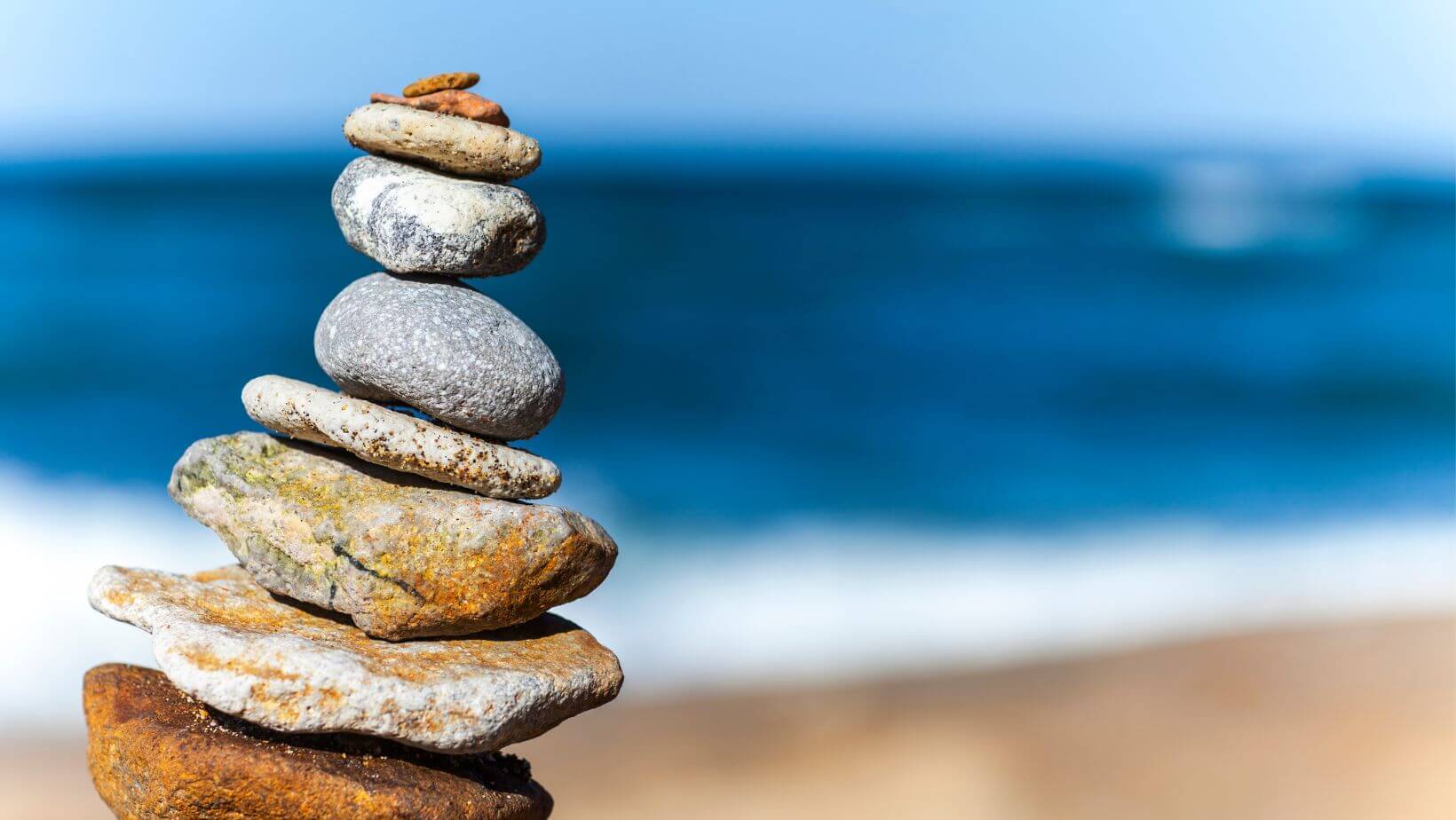 The Hierarchy of Life Elements