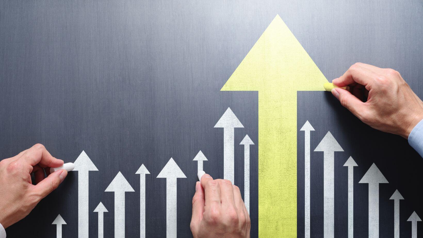 Team Leadership: Trust and Accountability