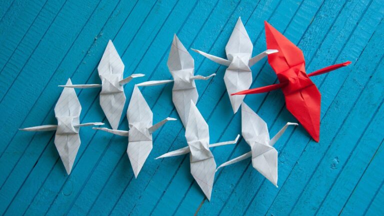 Project Management Leadership Insights