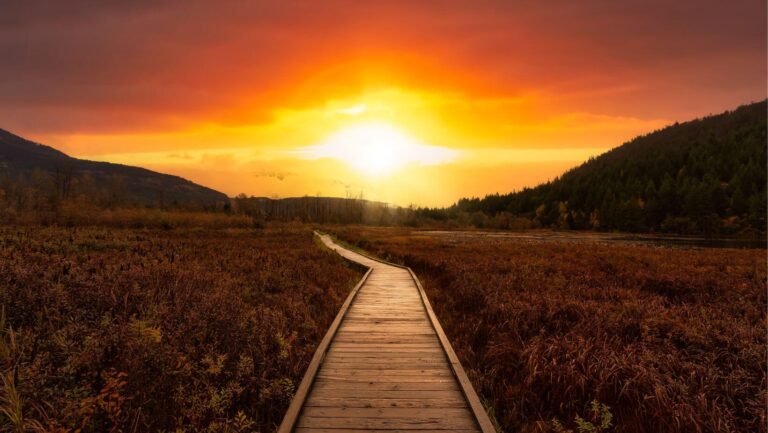 Leadership - Reflecting on the Journey