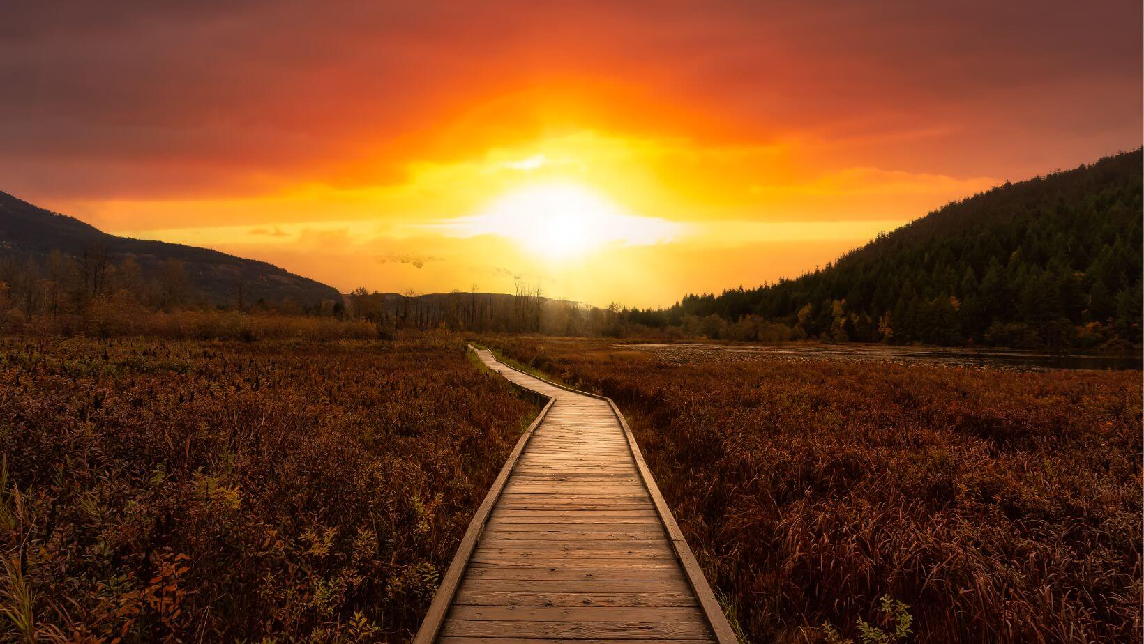 Leadership - Reflecting on the Journey