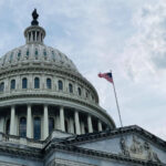Government Blockchain vs. Open Networks