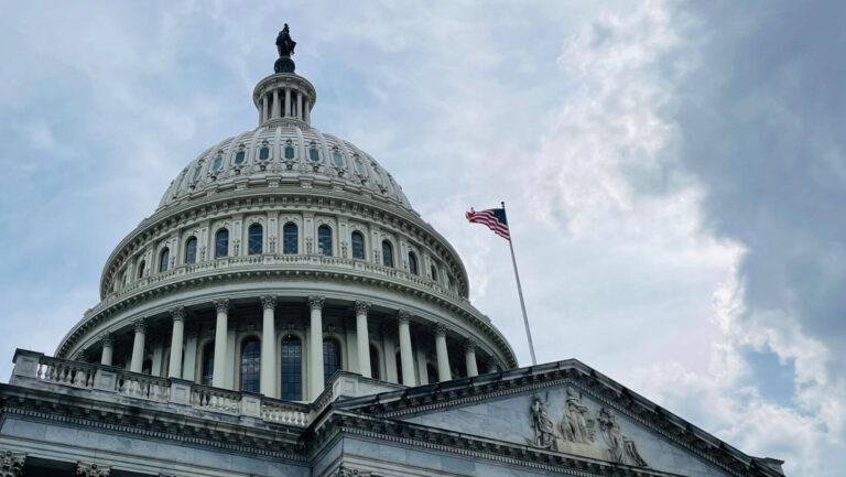 Government Blockchain vs. Open Networks